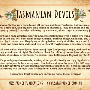 Tasmanian Devil Puzzle