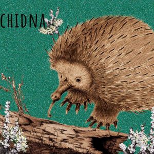 Echidna Puzzle