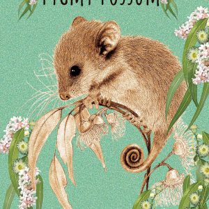 Pygmy Possum Puzzle